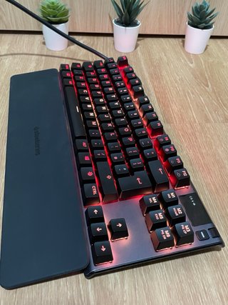 SteelSeries Apex Pro TKL
