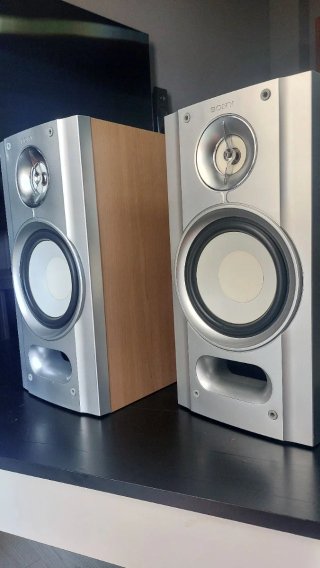 Altavoces Sony Plata