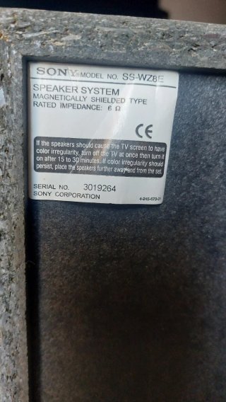 Altavoces Sony Plata