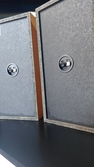 Altavoces Sony Plata