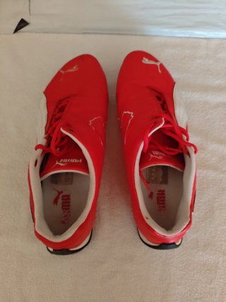 Zapatillas Puma Ferrari Oficiales