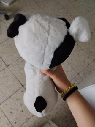 Peluche Perro Bowie