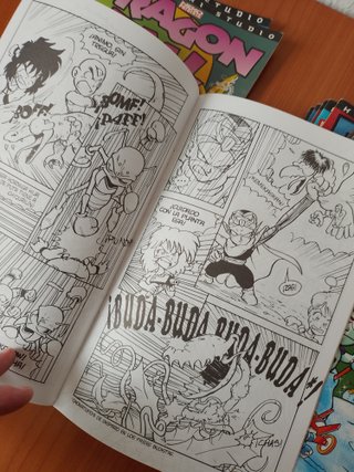 Dragon Fall (lote de comics sueltos)