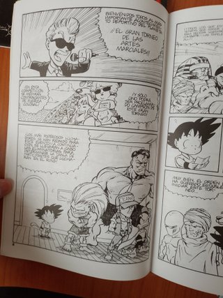Dragon Fall (lote de comics sueltos)