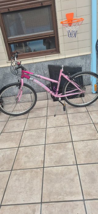 Bicicleta rosa Eagle 26 pulgadas