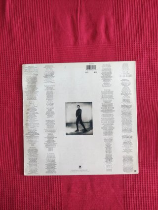 Vinilo Sting The Soul Cages