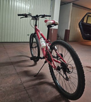 Bicicleta Infantil JL-Wenti 24