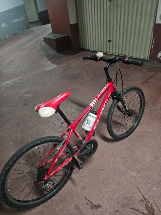 Bicicleta Infantil JL-Wenti 24