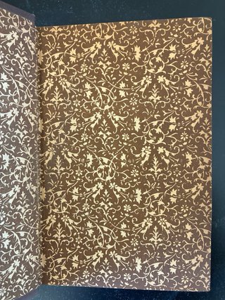 Libro 1887 Tartarin du Tarascon