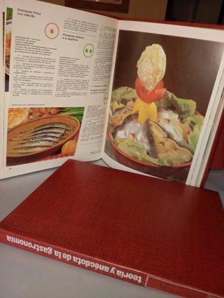 10mas 1, ENCICLOPEDIA COMPLETA DE COCINA SALVAT.