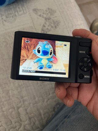 Fotocamere digitali Sony e Nikon