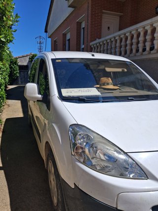 Peugeot Partner Tepee 2010