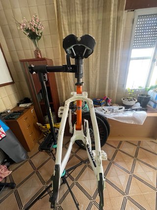 Cuadro Kona Stinky Naranja