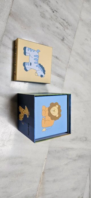 Cajas de Almacenamiento Infantiles My Little Zoo