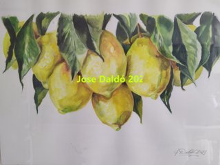 Cuadro Acuarela Limones original de J. Daldó