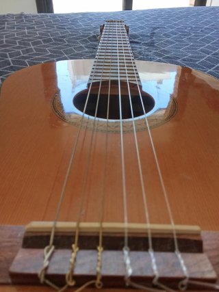 Guitarra Española Clásica