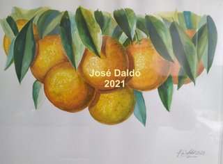 Cuadro Acuarela Naranjas original de J. Daldó