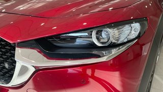 Mazda CX-30 2025 2.5 e-SKYACTIV G MHEV 140CV 6MT FWD HOMURA