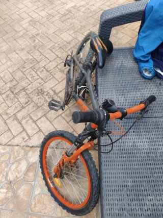 Bicicleta Montaña 14 Edición Limitada