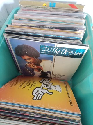 Lote de Vinilos Varios