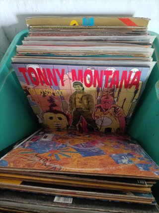 Lote de Vinilos Varios