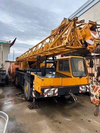 Grúa Autopropulsada Liebherr