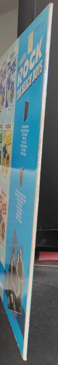 Vinilo LP Beach Boys - Pioneros del Rock