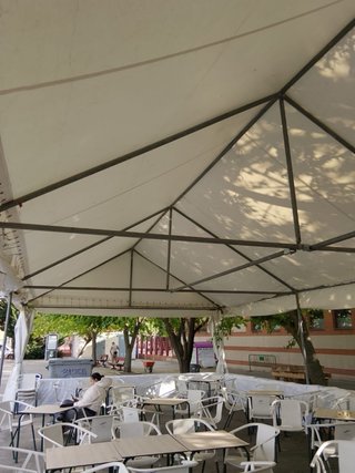 Carpa grande blanca
