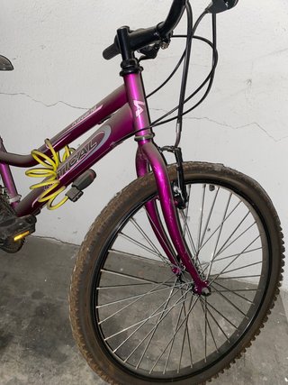Bicicleta Morada