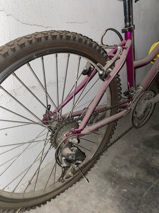 Bicicleta Morada