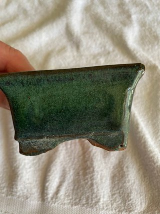 Vaso per bonsai