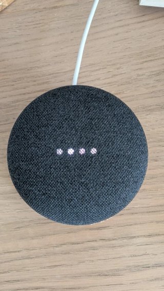 Altavoces: Google Nest y Nest Mini Gris