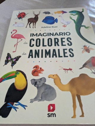 Lote de libros interactivos para niñ@s