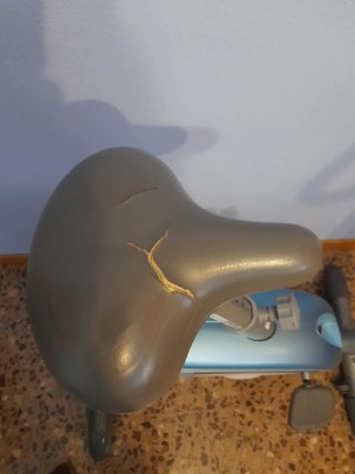 Bicicleta Estática Azul y Gris