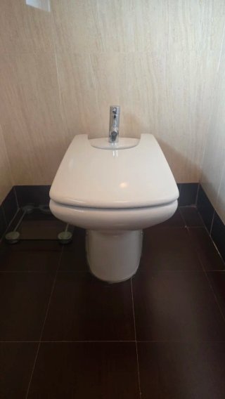 Conjunto Baño Completo: lavabo, WC, bidé y muebles