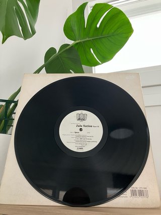 Zulu Nation Part VI - Alan Barratt