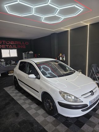 Peugeot 307 2002