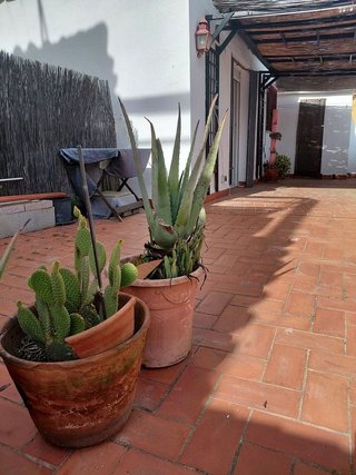 Piso en alquiler en Zona Centro en Córdoba