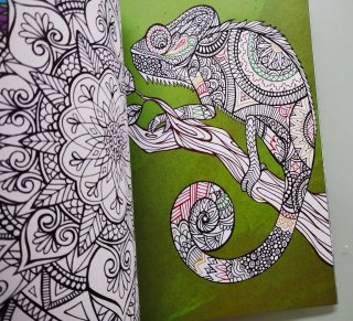 Lote de 2 Libros colorea Mandalas