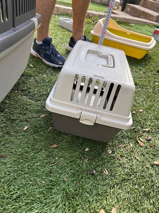 Transportín para gatos