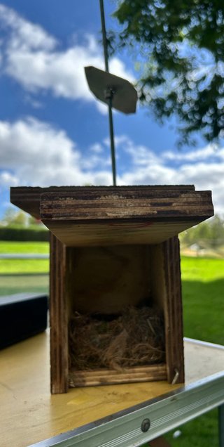 Casa de madera para pájaros