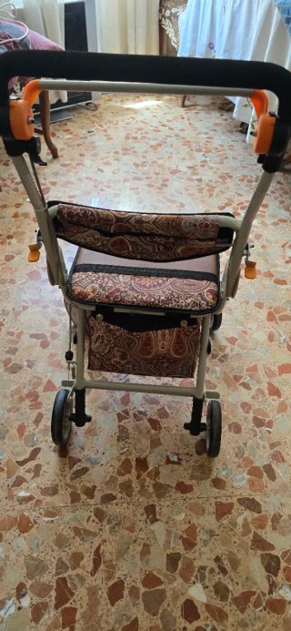 Andador Carrito con Asiento