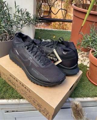 Lote Nike Pegasus Trail 4 GTX 45