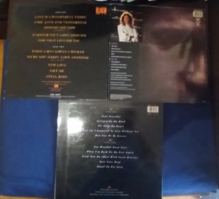 Vinilos Michael Bolton