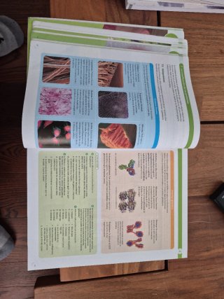 Biología, 2 Bachillerato, Proyecto Construyendo...