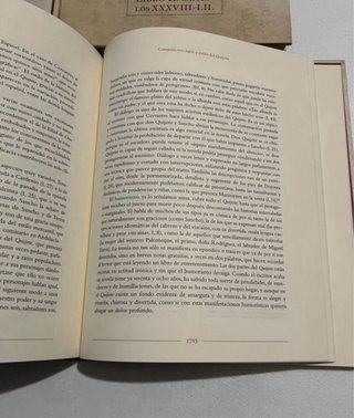 Don Quixote de la Mancha mingote