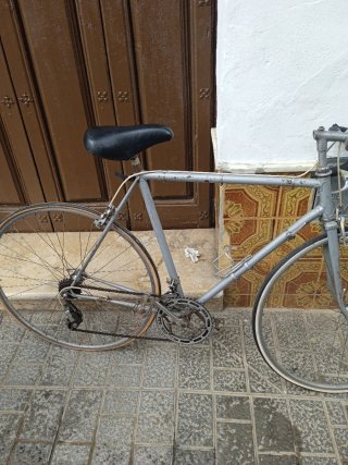 Bicicleta Clásica de  carreras Gris