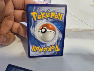 Set 3 Cartas Pokémon Charizard Tyranitar Vespiquen