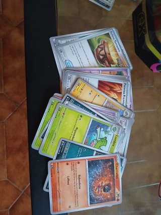 156 carte Pokémon + mazzo Zekrom completo + kit