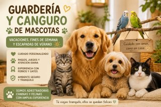 Guardería Mascotas Felices ✨️❤️